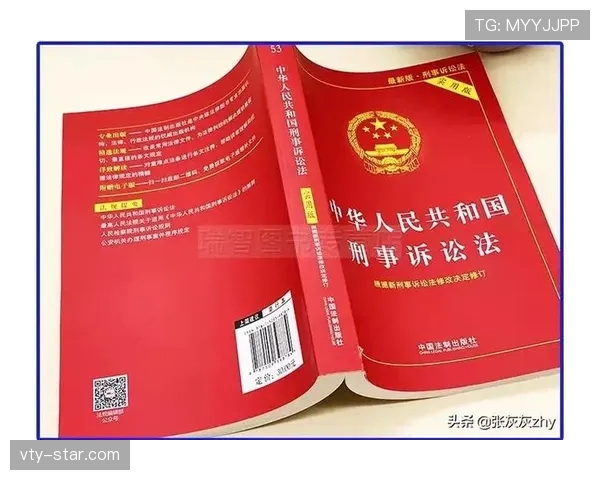 裁判对不当行为的判罚标准与处罚
